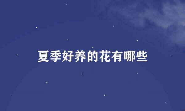 夏季好养的花有哪些