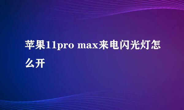 苹果11pro max来电闪光灯怎么开