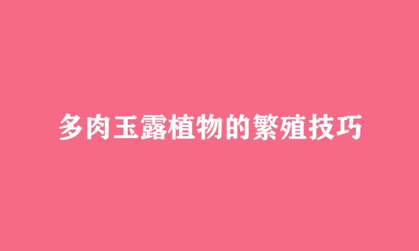 多肉玉露植物的繁殖技巧