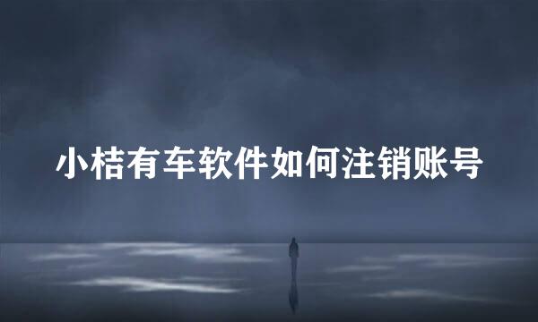 小桔有车软件如何注销账号