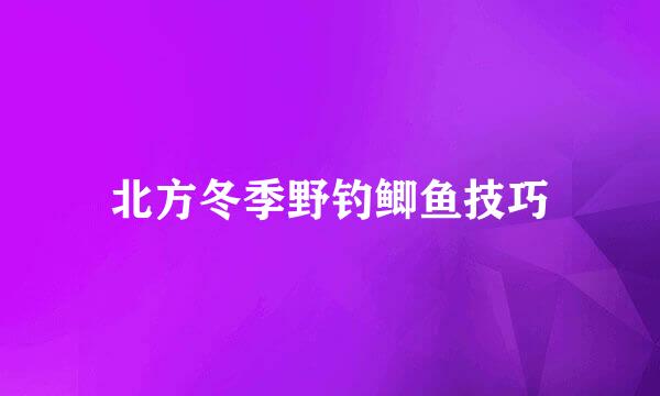 北方冬季野钓鲫鱼技巧