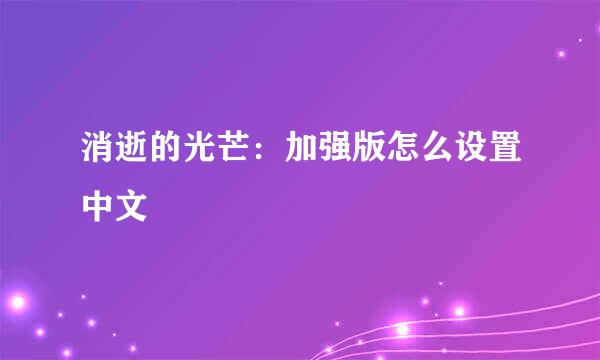 消逝的光芒：加强版怎么设置中文
