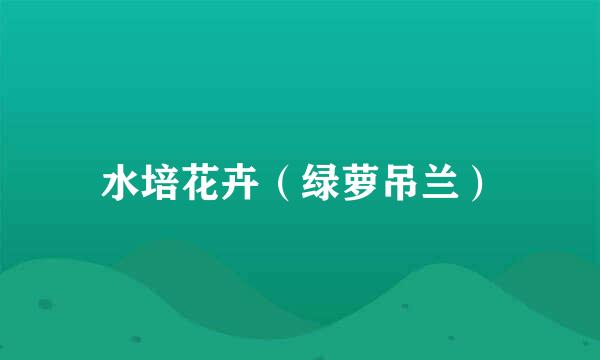 水培花卉（绿萝吊兰）