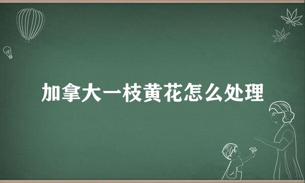 加拿大一枝黄花怎么处理