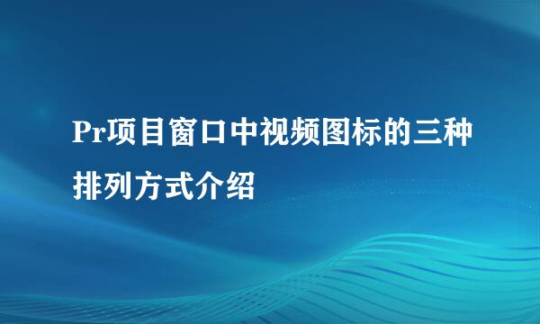 Pr项目窗口中视频图标的三种排列方式介绍