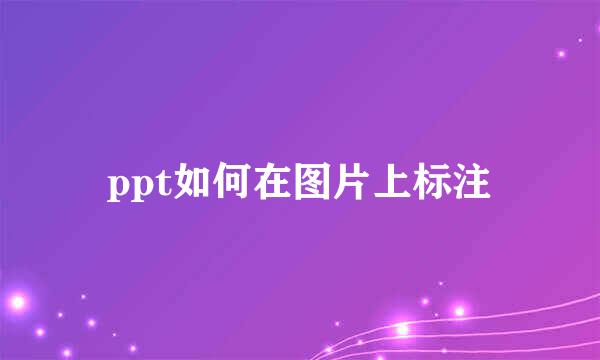 ppt如何在图片上标注