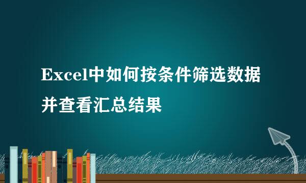 Excel中如何按条件筛选数据并查看汇总结果