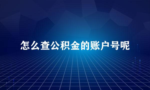 怎么查公积金的账户号呢