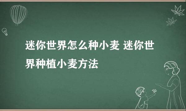 迷你世界怎么种小麦 迷你世界种植小麦方法