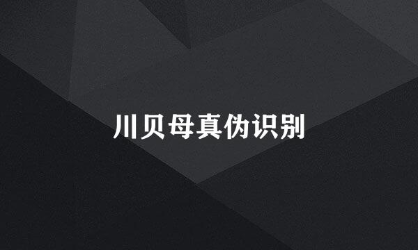 川贝母真伪识别