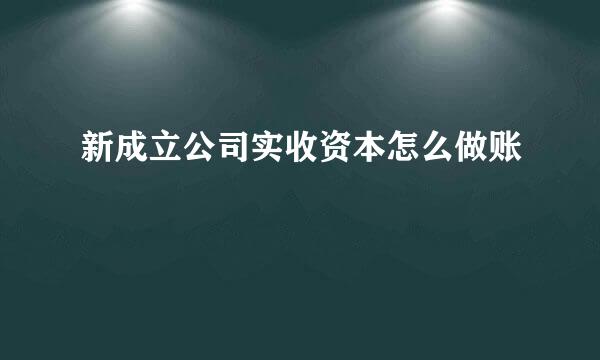 新成立公司实收资本怎么做账