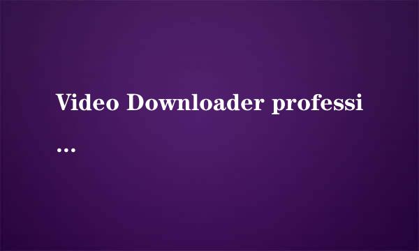 Video Downloader professional怎么用