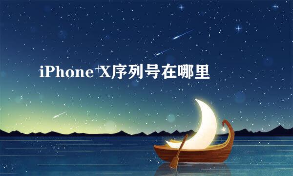 iPhone X序列号在哪里