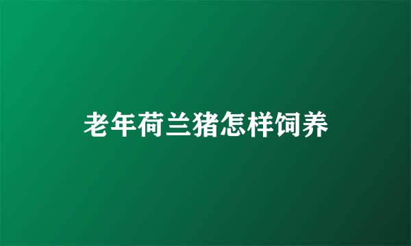 老年荷兰猪怎样饲养