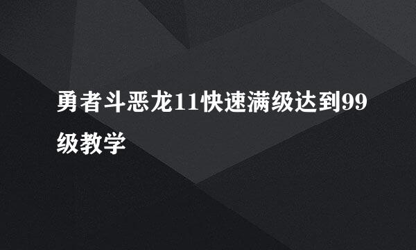 勇者斗恶龙11快速满级达到99级教学