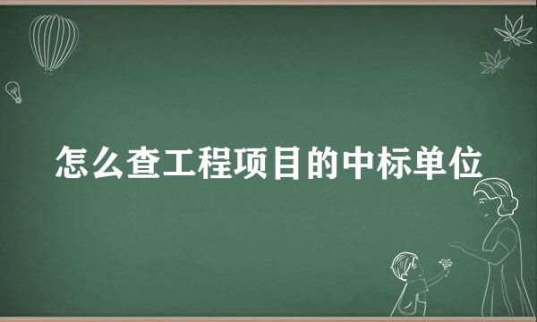 怎么查工程项目的中标单位