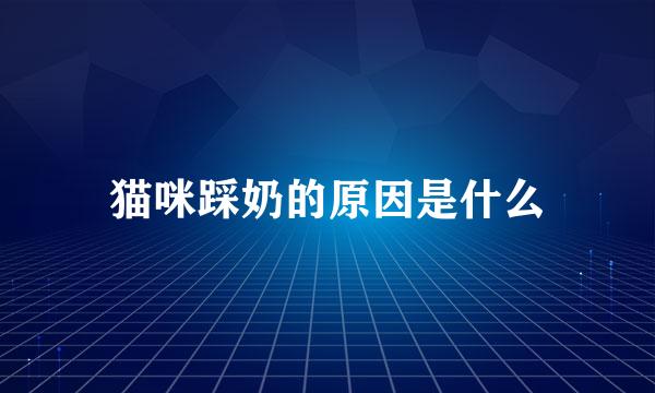 猫咪踩奶的原因是什么