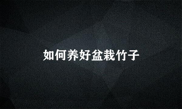 如何养好盆栽竹子