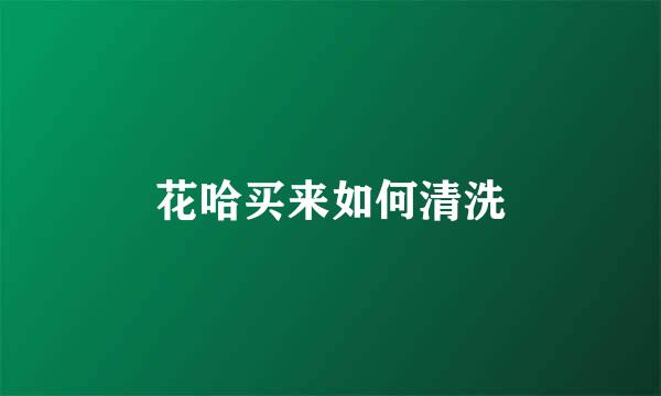 花哈买来如何清洗