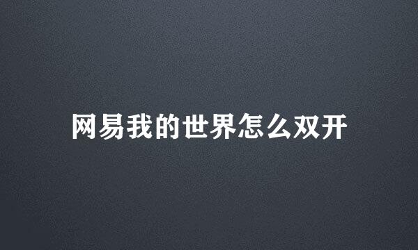 网易我的世界怎么双开