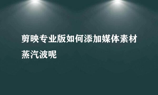 剪映专业版如何添加媒体素材蒸汽波呢