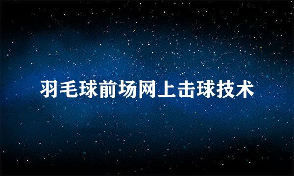 羽毛球前场网上击球技术