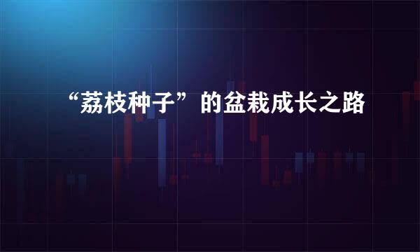 “荔枝种子”的盆栽成长之路