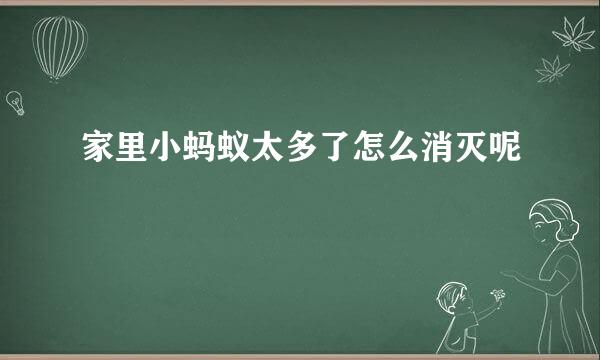 家里小蚂蚁太多了怎么消灭呢