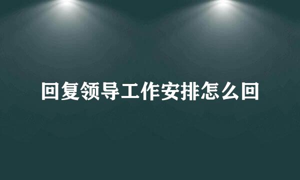 回复领导工作安排怎么回