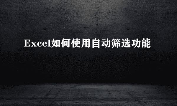 Excel如何使用自动筛选功能