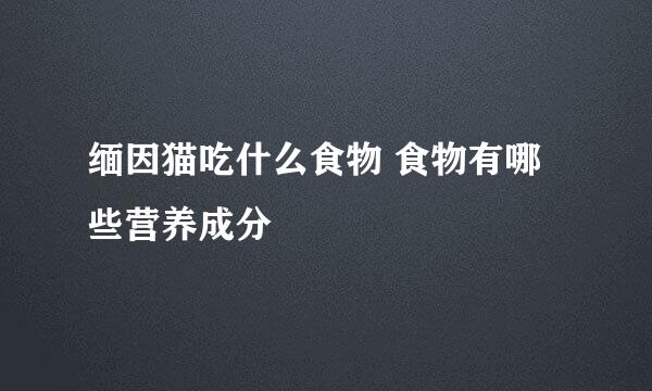 缅因猫吃什么食物 食物有哪些营养成分