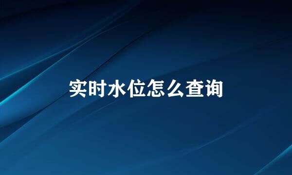 实时水位怎么查询