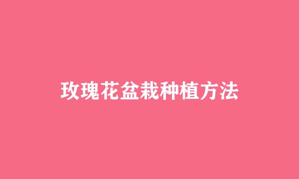 玫瑰花盆栽种植方法