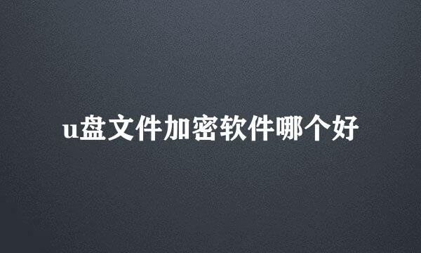 u盘文件加密软件哪个好