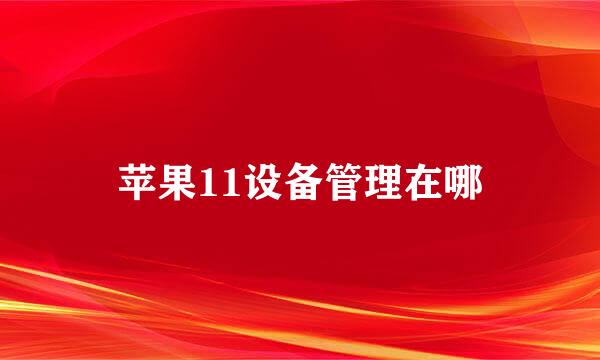 苹果11设备管理在哪