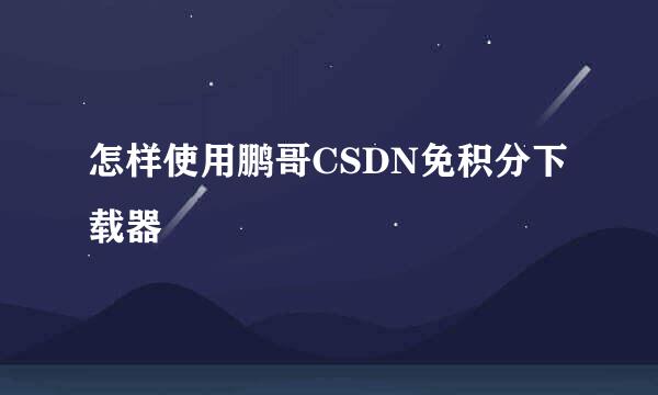 怎样使用鹏哥CSDN免积分下载器
