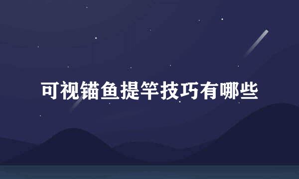 可视锚鱼提竿技巧有哪些