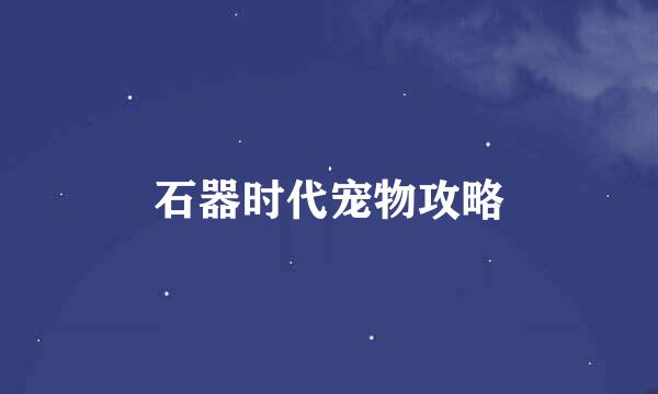 石器时代宠物攻略