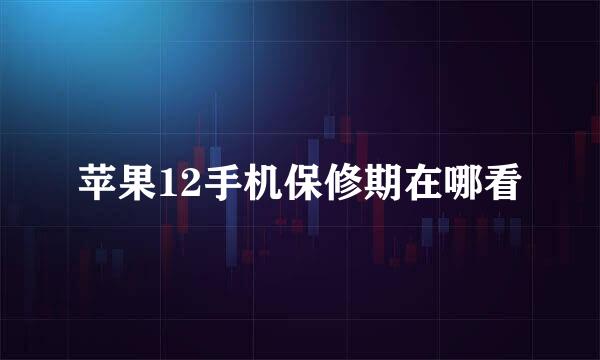 苹果12手机保修期在哪看