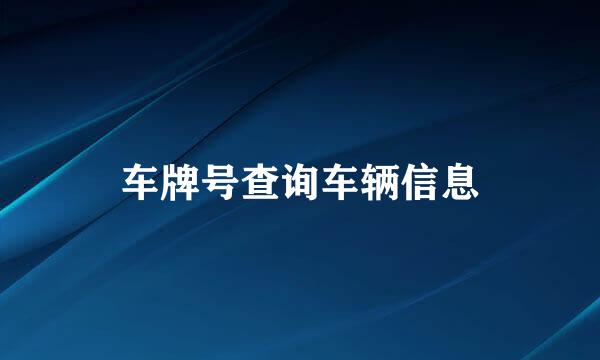 车牌号查询车辆信息