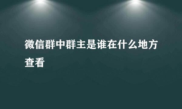 微信群中群主是谁在什么地方查看
