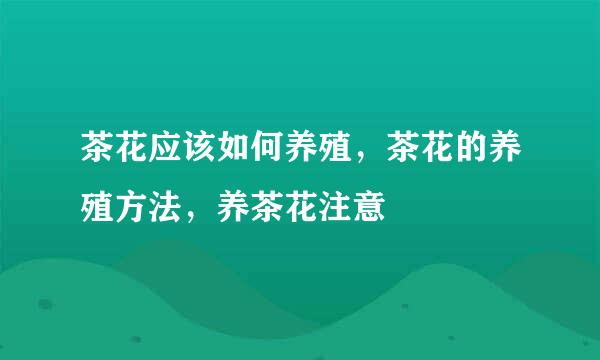 茶花应该如何养殖，茶花的养殖方法，养茶花注意