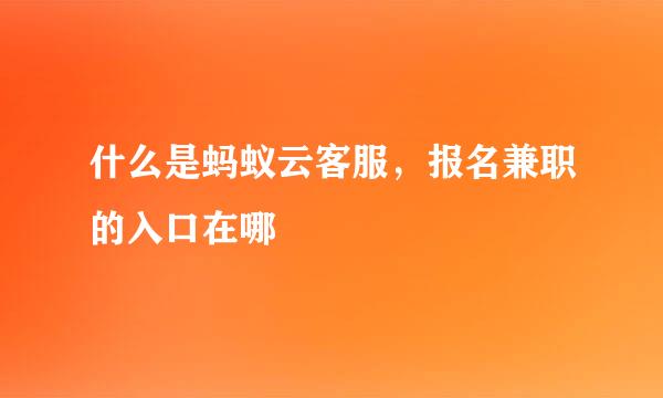 什么是蚂蚁云客服，报名兼职的入口在哪