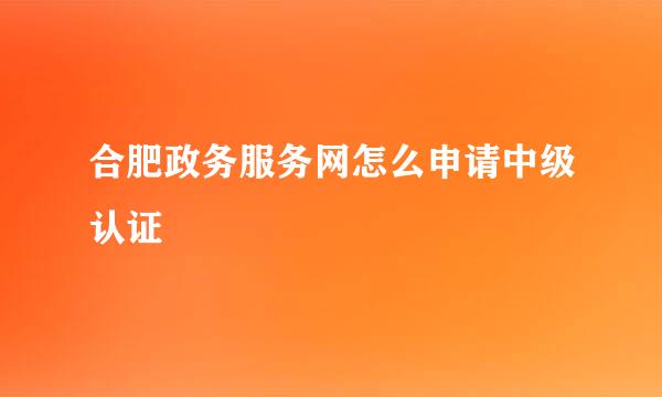 合肥政务服务网怎么申请中级认证