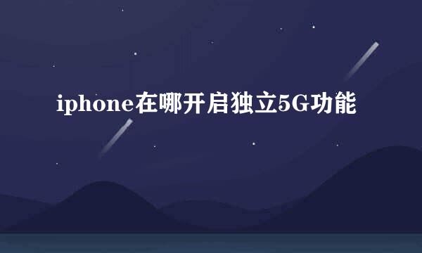 iphone在哪开启独立5G功能