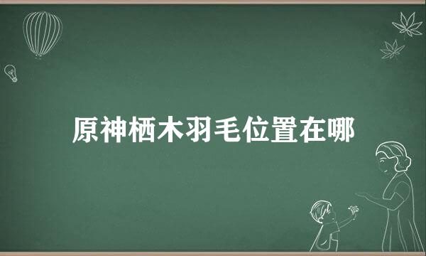 原神栖木羽毛位置在哪