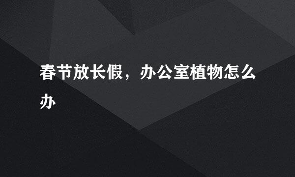 春节放长假，办公室植物怎么办