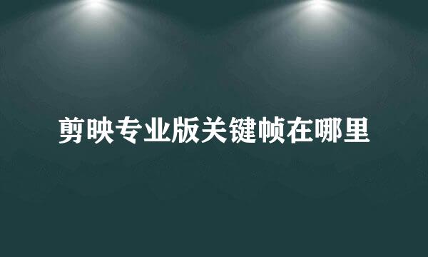 剪映专业版关键帧在哪里