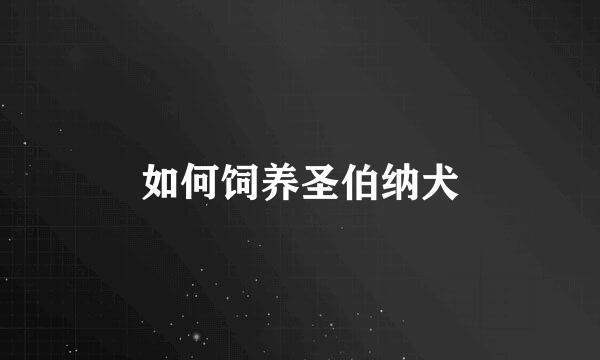 如何饲养圣伯纳犬