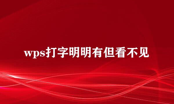 wps打字明明有但看不见